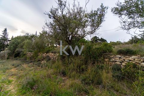 Terra a Conceicao e Estoi, Faro, Conceicao e Estoi - € 75.000 | Ref: 2276-1328 - foto 21