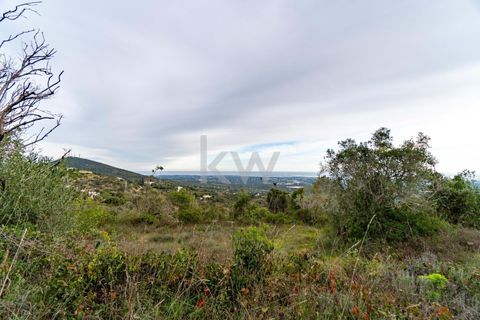 Terra a Conceicao e Estoi, Faro, Conceicao e Estoi - € 75.000 | Ref: 2276-1328 - foto 22