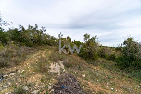 Terra a Conceicao e Estoi, Faro, Conceicao e Estoi - € 75.000 | Ref: 2276-1328 - foto 23