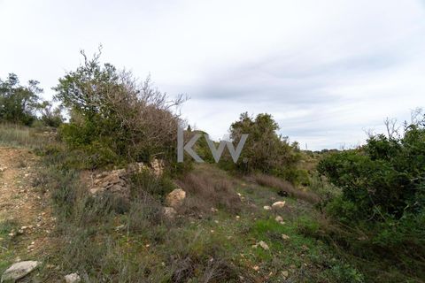 Terra a Conceicao e Estoi, Faro, Conceicao e Estoi - € 75.000 | Ref: 2276-1328 - foto 25