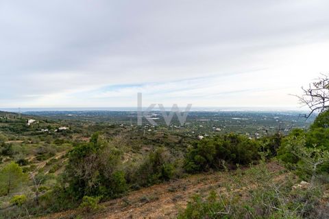 Terra a Conceicao e Estoi, Faro, Conceicao e Estoi - € 75.000 | Ref: 2276-1328 - foto 26