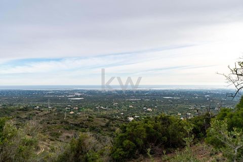 Terra a Conceicao e Estoi, Faro, Conceicao e Estoi - € 75.000 | Ref: 2276-1328 - foto 27