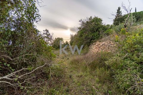 Terra a Conceicao e Estoi, Faro, Conceicao e Estoi - € 75.000 | Ref: 2276-1328 - foto 28