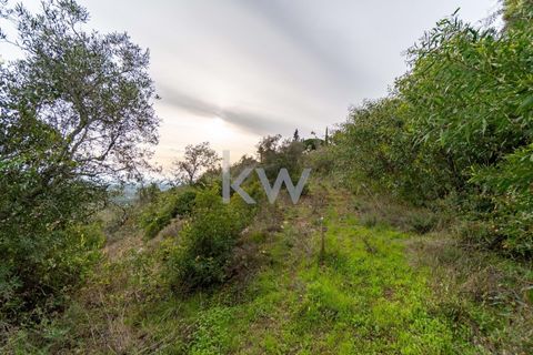 Terra a Conceicao e Estoi, Faro, Conceicao e Estoi - € 75.000 | Ref: 2276-1328 - foto 29