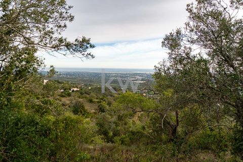 Terra a Conceicao e Estoi, Faro, Conceicao e Estoi - € 75.000 | Ref: 2276-1328 - foto 30