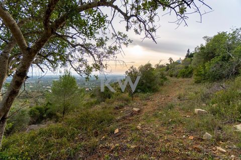Terra a Conceicao e Estoi, Faro, Conceicao e Estoi - € 75.000 | Ref: 2276-1328 - foto 31