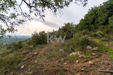Terra a Conceicao e Estoi, Faro, Conceicao e Estoi - € 75.000 | Ref: 2276-1328 - foto 32