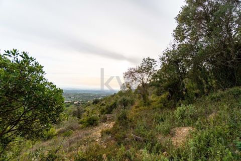 Terra a Conceicao e Estoi, Faro, Conceicao e Estoi - € 75.000 | Ref: 2276-1328 - foto 33