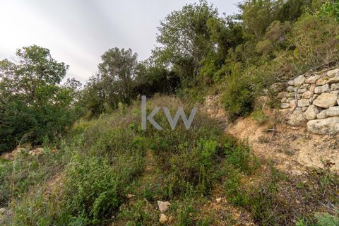 Terra a Conceicao e Estoi, Faro, Conceicao e Estoi - € 75.000 | Ref: 2276-1328 - foto 35