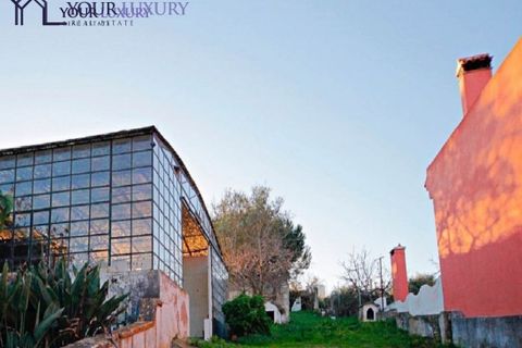 Villa i Loures, Lisbon, Loures - € 1.200.000 | Ref: YL279 - foto 2