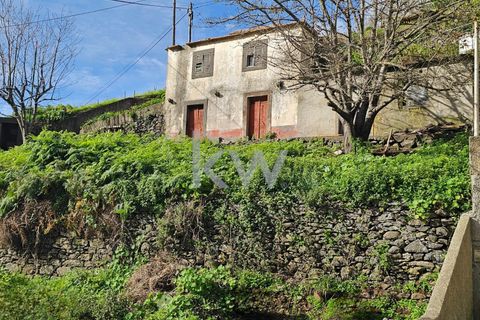Byhus i Camara de Lobos, Madeira, Camara de Lobos - € 110.000 | Ref: KWPT-009615 - foto 3