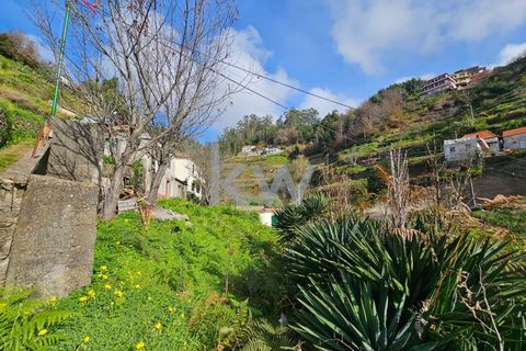Byhus i Camara de Lobos, Madeira, Camara de Lobos - € 110.000 | Ref: KWPT-009615 - foto 6