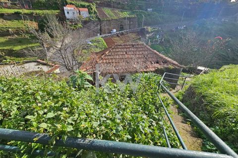 Byhus i Camara de Lobos, Madeira, Camara de Lobos - € 110.000 | Ref: KWPT-009615 - foto 8