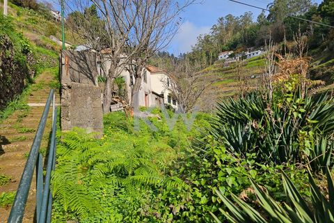 Byhus i Camara de Lobos, Madeira, Camara de Lobos - € 110.000 | Ref: KWPT-009615 - foto 14