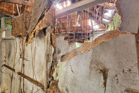 Byhus i Camara de Lobos, Madeira, Camara de Lobos - € 110.000 | Ref: KWPT-009615 - foto 16
