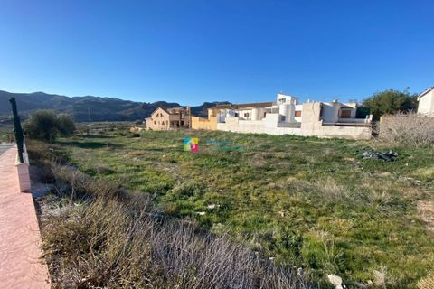 Terra a Cantoria, Almeria, Cantoria - € 115.000 | Ref: 2693 - foto 2