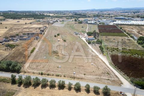 Helårsgrund i Alcochete, Setubal, Alcochete - € 640.000 | Ref: SAFTI:006269 - foto 1