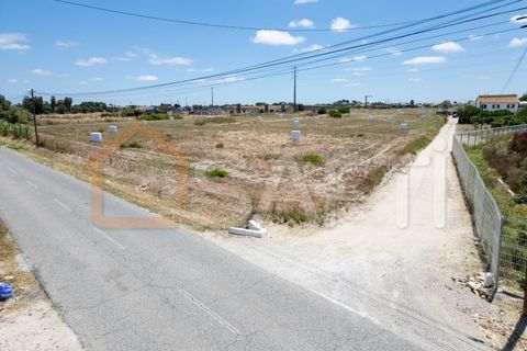 Helårsgrund i Alcochete, Setubal, Alcochete - € 640.000 | Ref: SAFTI:006269 - foto 3