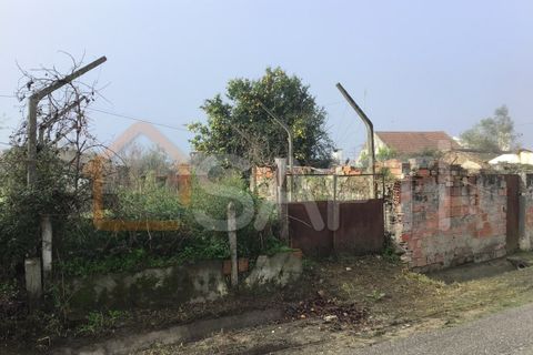 Masia a Abrantes, Santarem, Abrantes - € 40.000 | Ref: SAFTI:006267 - foto 11