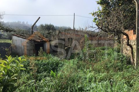 Masia a Abrantes, Santarem, Abrantes - € 40.000 | Ref: SAFTI:006267 - foto 12