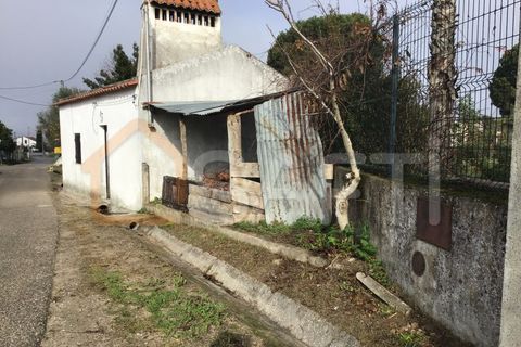 Masia a Abrantes, Santarem, Abrantes - € 40.000 | Ref: SAFTI:006267 - foto 13
