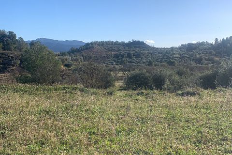 Helårsgrund i Asco, Tarragona, Asco - € 25.000 | Ref: Asc05jam - foto 12