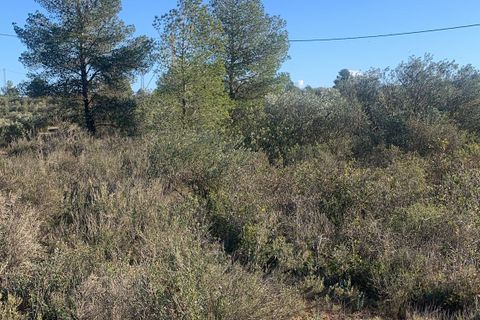 Helårsgrund i Asco, Tarragona, Asco - € 25.000 | Ref: Asc05jam - foto 6
