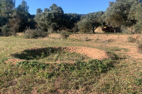 Helårsgrund i Asco, Tarragona, Asco - € 25.000 | Ref: Asc05jam - foto 10