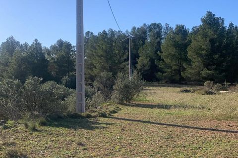 Helårsgrund i Asco, Tarragona, Asco - € 25.000 | Ref: Asc05jam - foto 3