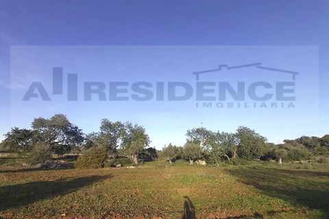 Helårsgrund i Ferreiras, Faro, Ferreiras - € 89.000 | Ref: TR-05 - foto 2