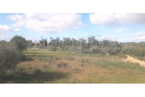 Helårsgrund i Ferreiras, Faro, Ferreiras - € 89.000 | Ref: TR-05 - foto 4