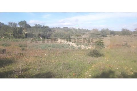 Helårsgrund i Ferreiras, Faro, Ferreiras - € 89.000 | Ref: TR-05 - foto 7