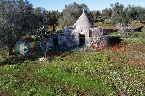Villa i Carovigno, Brindisi, Carovigno - € 85.000 | Ref: 85TRULLOCOLACURTO - foto 2