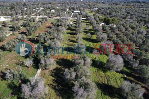 Villa i Carovigno, Brindisi, Carovigno - € 85.000 | Ref: 85TRULLOCOLACURTO - foto 4
