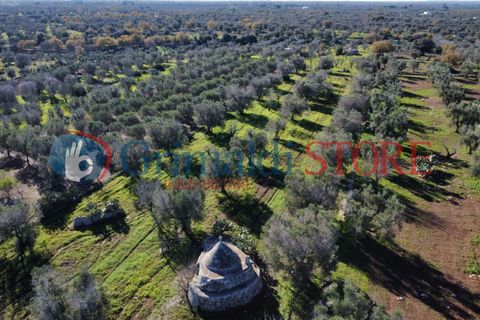 Villa i Carovigno, Brindisi, Carovigno - € 85.000 | Ref: 85TRULLOCOLACURTO - foto 5