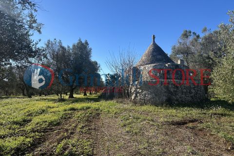 Villa i Carovigno, Brindisi, Carovigno - € 85.000 | Ref: 85TRULLOCOLACURTO - foto 24