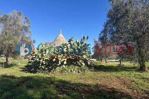 Villa i Carovigno, Brindisi, Carovigno - € 85.000 | Ref: 85TRULLOCOLACURTO - foto 25