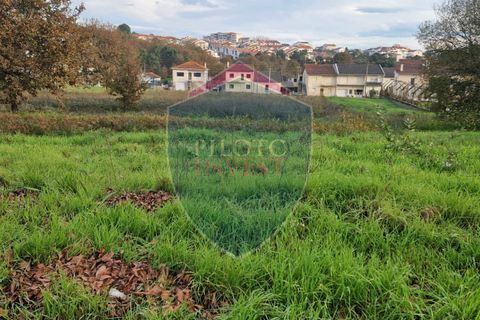 Helårsgrund i Viseu, Viseu, Viseu - € 420.000 | Ref: 2144/V - foto 4