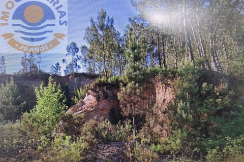 Helårsgrund i Ourem, Santarem, Ourem - € 16.000 | Ref: TER_737 - foto 3