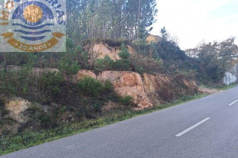 Helårsgrund i Ourem, Santarem, Ourem - € 16.000 | Ref: TER_737 - foto 6