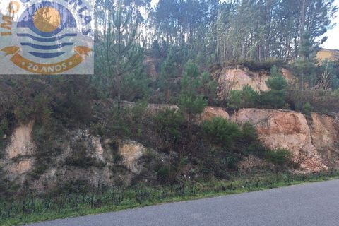 Helårsgrund i Ourem, Santarem, Ourem - € 16.000 | Ref: TER_737 - foto 7
