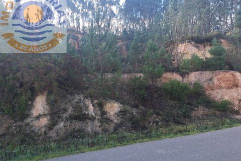 Helårsgrund i Ourem, Santarem, Ourem - € 16.000 | Ref: TER_737 - foto 8