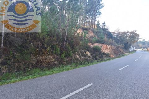 Helårsgrund i Ourem, Santarem, Ourem - € 16.000 | Ref: TER_737 - foto 9