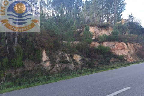 Helårsgrund i Ourem, Santarem, Ourem - € 16.000 | Ref: TER_737 - foto 10