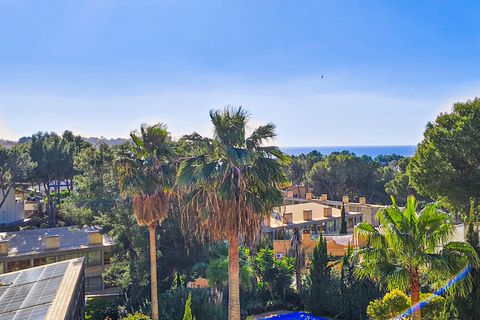 Villa i Costa De La Calma, Mallorca, Costa De La Calma - € 1.350.000 | Ref: FALC-AnPa-65162 - foto 37