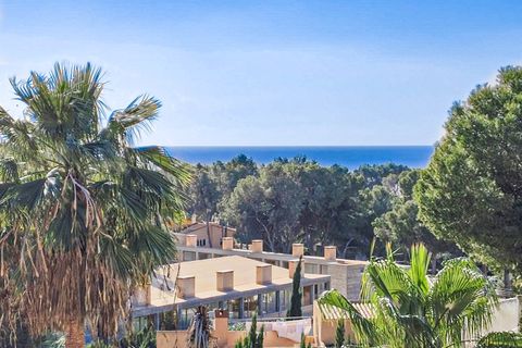 Villa i Costa De La Calma, Mallorca, Costa De La Calma - € 1.350.000 | Ref: FALC-AnPa-65162 - foto 38