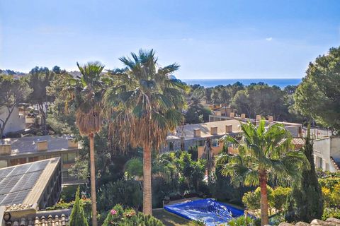 Villa i Costa De La Calma, Mallorca, Costa De La Calma - € 1.350.000 | Ref: FALC-AnPa-65162 - foto 39