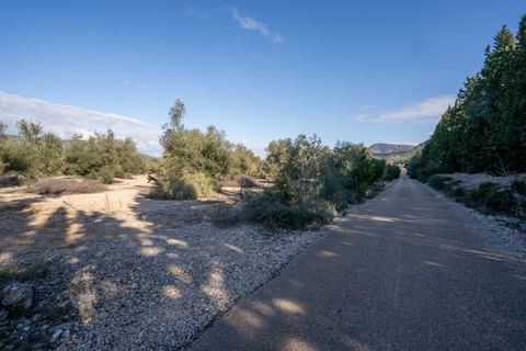 Finca i Ulldecona, Tarragona, Ulldecona - € 12.500 | Ref: 167 - foto 10