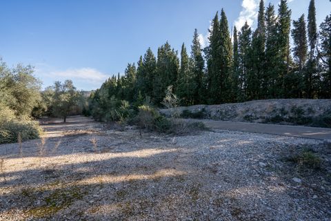 Finca i Ulldecona, Tarragona, Ulldecona - € 12.500 | Ref: 167 - foto 8