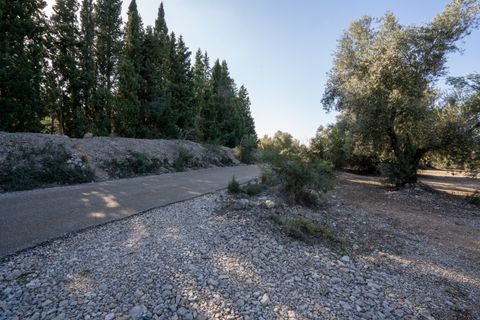 Finca i Ulldecona, Tarragona, Ulldecona - € 12.500 | Ref: 167 - foto 9